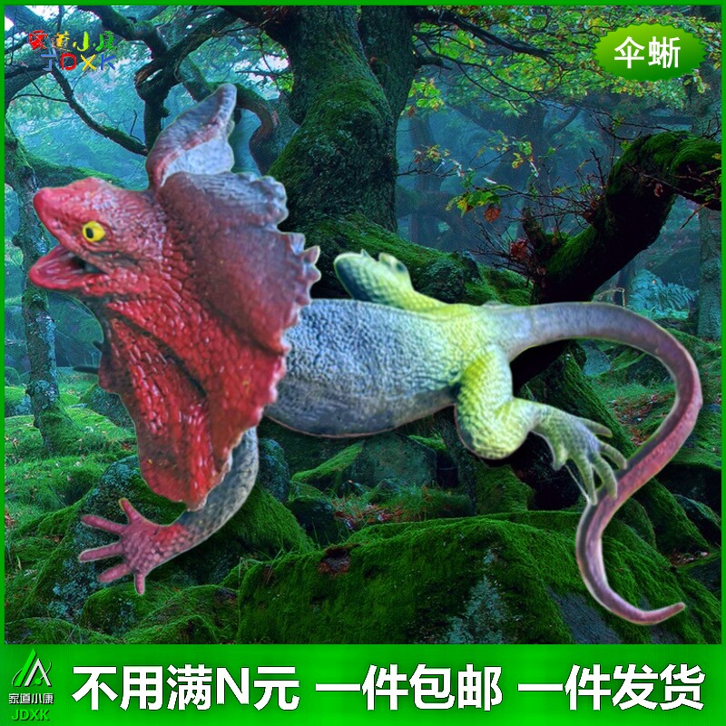 变色龙软胶套装仿真蜥蜴包邮