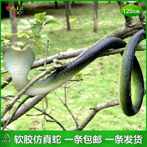 大小号软胶仿真蛇黑色眼镜蛇包邮