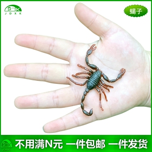 仿真小昆虫套装 儿童幼儿园玩具蜘蛛蚂蚁苍蝇蟑螂蜈蚣蝎子动物模型