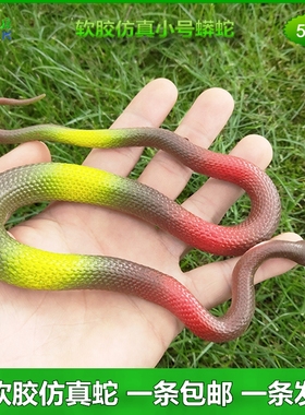 软胶蛇仿真蛇吓人小蟒蛇幼儿园儿童男女孩益智动物玩具蛇小蛇模型