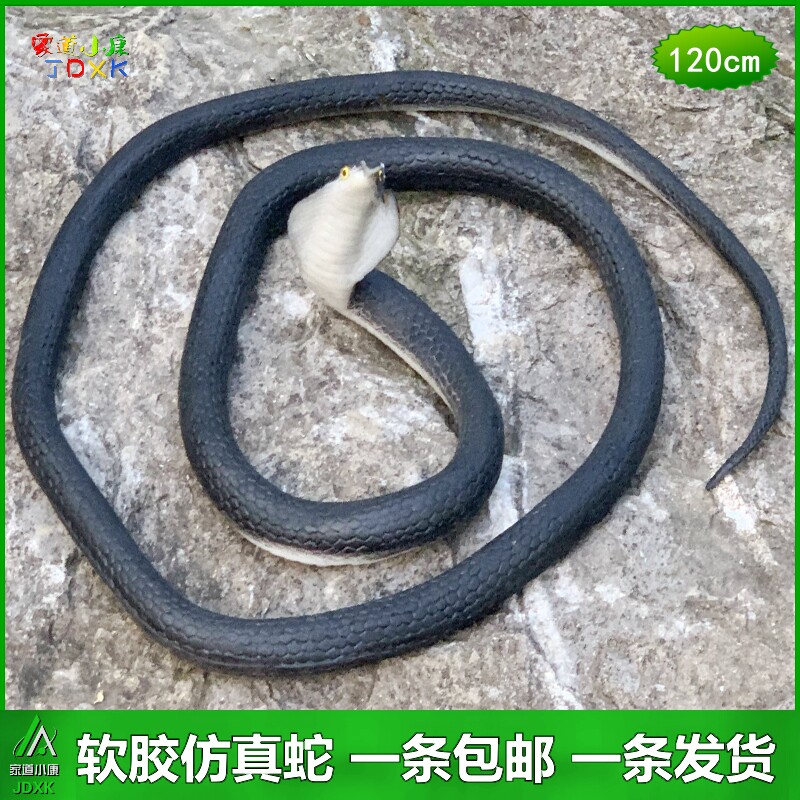 大号黑色仿真蛇软胶眼镜蛇包邮