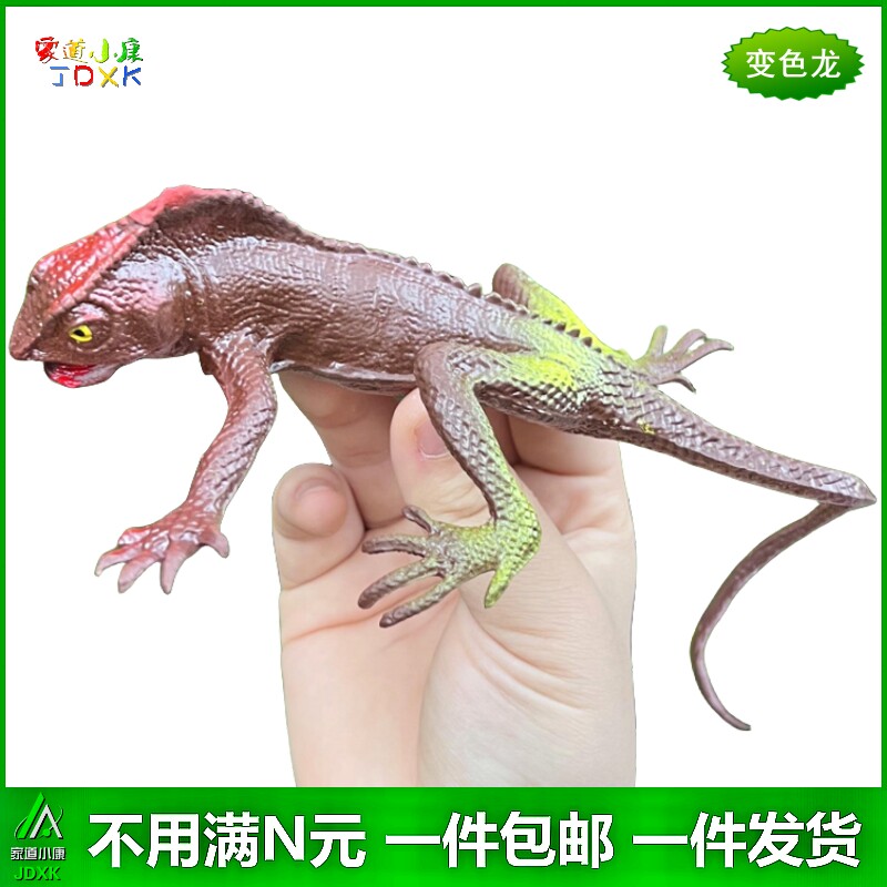 软胶仿真变色龙彩色蜥蜴幼儿园儿童玩具认知恐龙吓人爬行动物模型