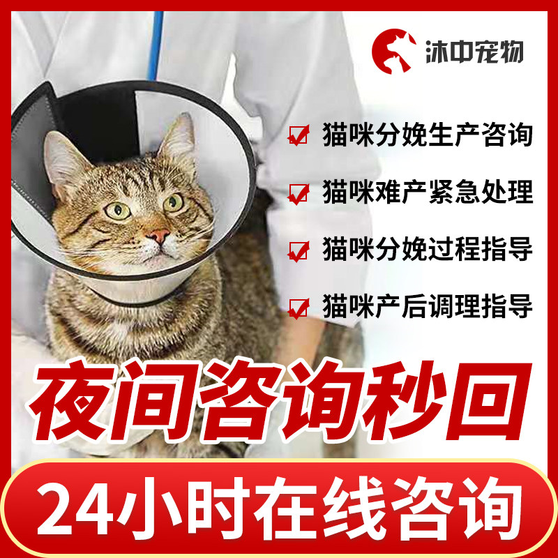 宠物狗狗猫咪生产幼崽问诊24小时兽医院产科猫猫分娩难产咨询问诊