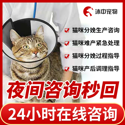 宠物狗狗猫咪生产幼崽问诊24小时兽医院产科猫猫分娩难产咨询问诊