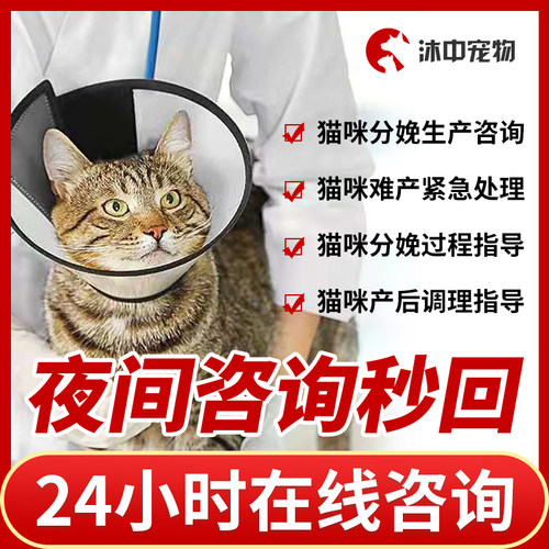 宠物狗狗猫咪生产幼崽问诊24小时兽医院产科猫猫分娩难产咨询问诊