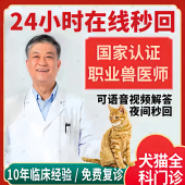 宠物医生问诊猫咪生病咨询兽医24小时线上宠物医院狗狗看病问诊疗