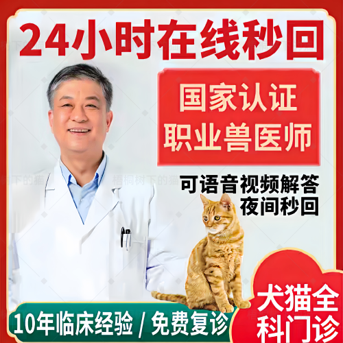 宠物医生问诊24小时线上宠物问诊