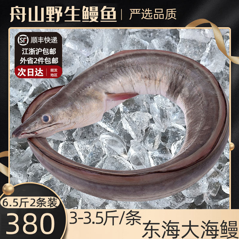 舟山海鲜东海水产鲜活捕捞冷冻特大新鲜海鳗鱼整条码头发 6.5斤装