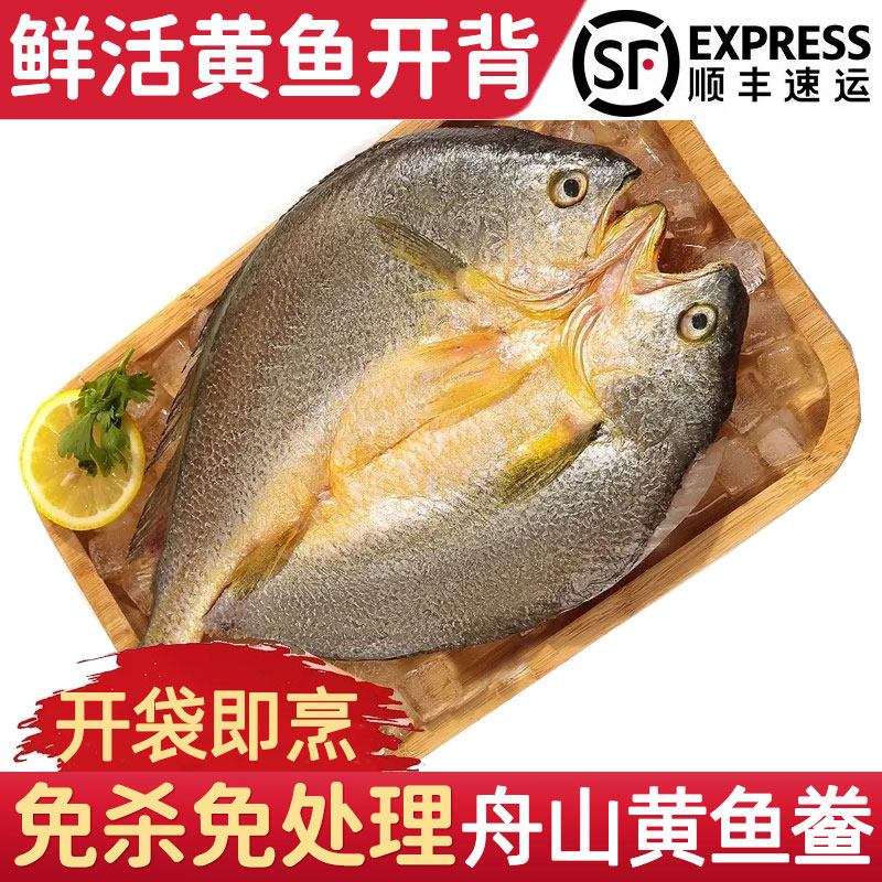 新鲜脱脂舟山鲜活开背黄鱼鲞图片
