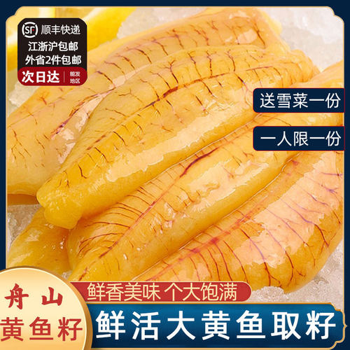 舟山海鲜黄鱼鱼籽特产黄花鱼籽