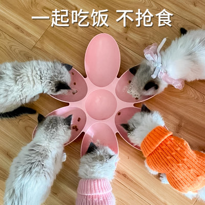 饭盆食盆幼猫专用狗碗喝水猫碗