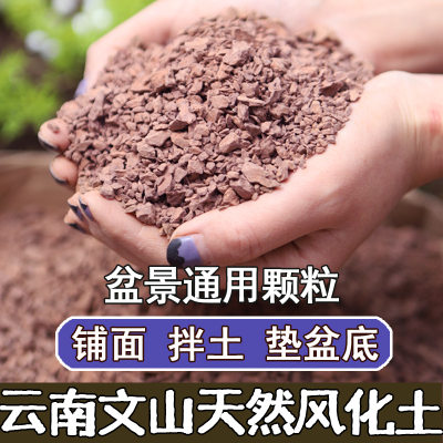 多肉兰花弹子风化营养土通用