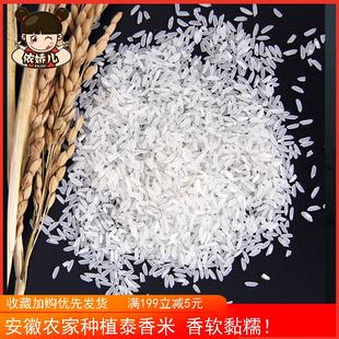 安徽农家软糯御贡国泰香米长粒香米新米农家杂交米15kg