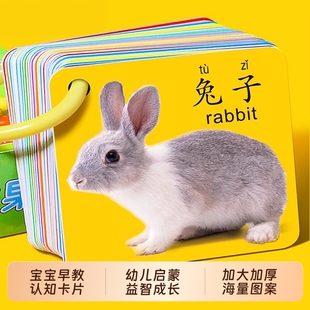 儿童卡片早教认知启蒙书动物世界认知卡幼儿数字益智玩具识字水果
