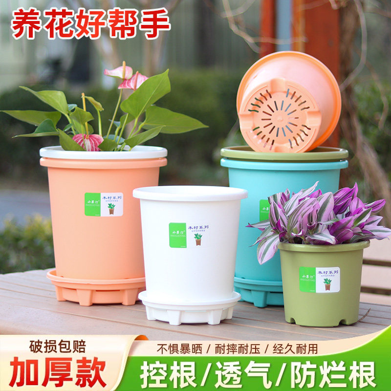 小果汀加厚Pp5树脂花盆 月季花盆