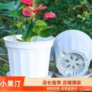 小果汀加厚环保花盆客厅花卉盆栽透气沥水树脂花盆三角梅绣球百合