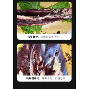 甘肃天祝白牦牛排牛脊骨牛棒骨新鲜真空装