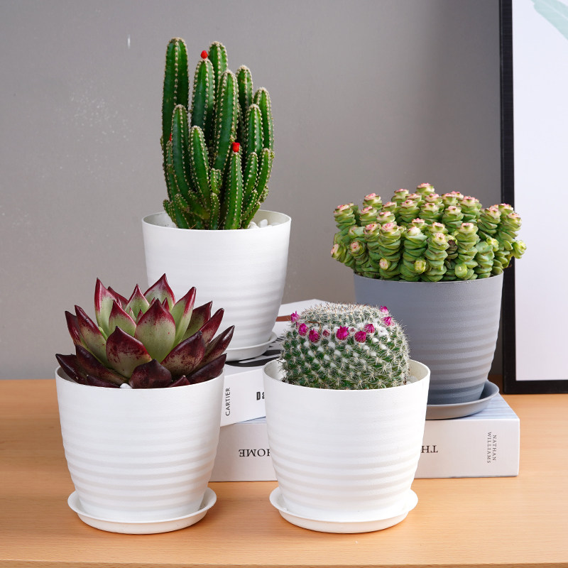 多肉控根透气花盆带托盘塑料树脂月季玫瑰栀子花阳台花盆桌面简约