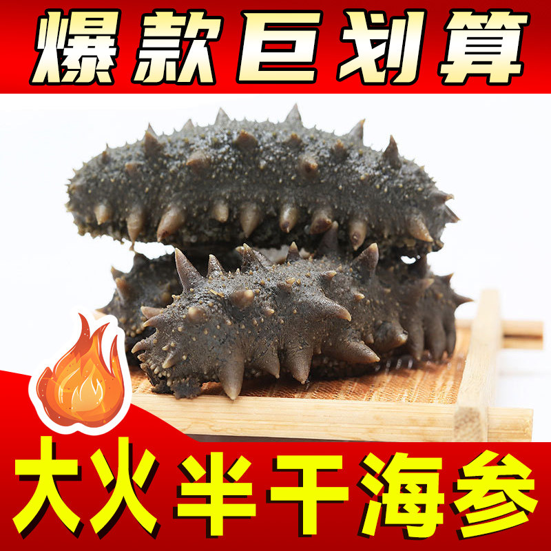 【半干海参】大火拉缸盐海参非即海参
