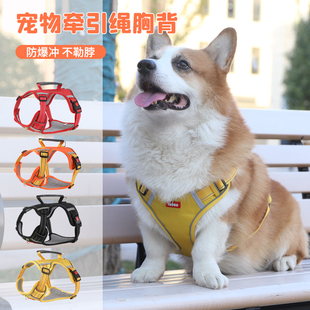 狗狗牵引绳背心式宠物胸背带中大型犬柴犬柯基脖圈遛狗绳子狗链子