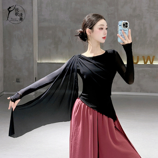 黑色舞蹈上衣2025新款古典舞服装成人形体训练服长袖现代舞练功服