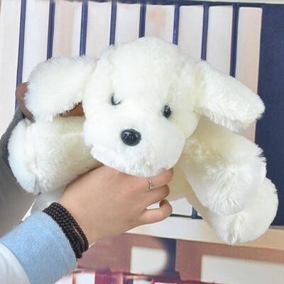 香狗狗趴趴狗价格 香狗狗趴趴狗图片 星期三