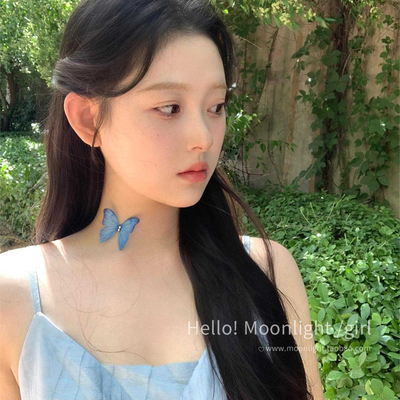 超仙薄纱隐形立体蝴蝶项链女小众高级感choker挂脖颈链气质锁骨链