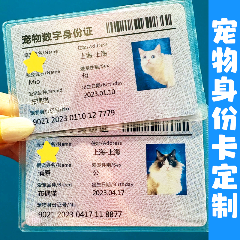宠物身份卡定制萌宠店DIY自印塑料卡片定做PVC卡通创意防水id卡片