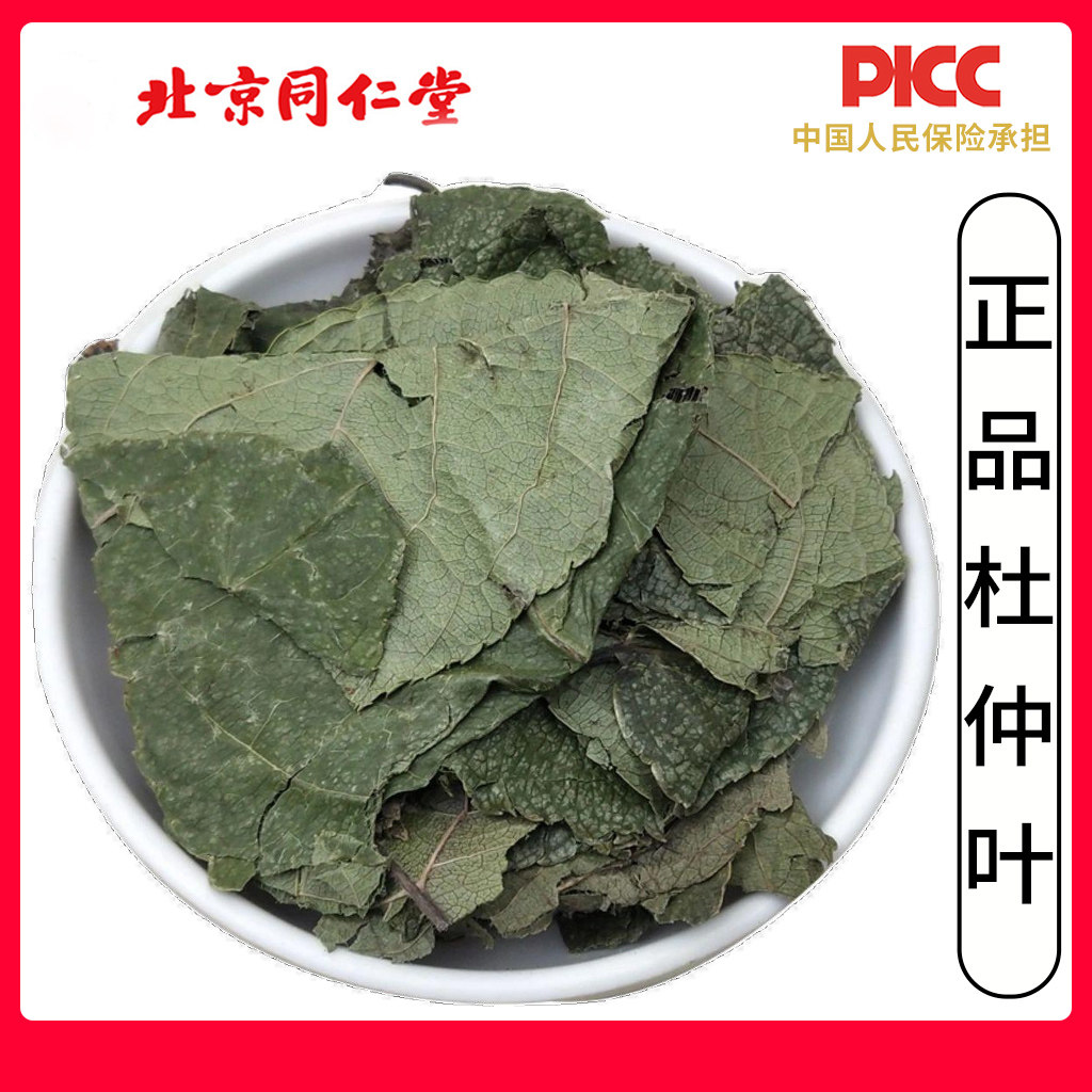 同仁堂野生杜仲叶中药材500g精选高品质新货无硫杜仲嫩叶茶芽杜仲