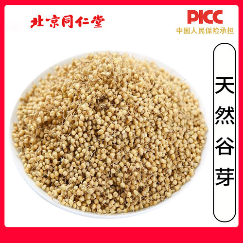 同仁堂无硫饱满谷芽500g干货