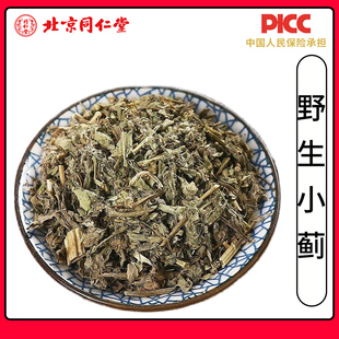 同仁堂野生正品小蓟500克中药材新货小蓟干刺儿菜小蓟草无硫小蓟