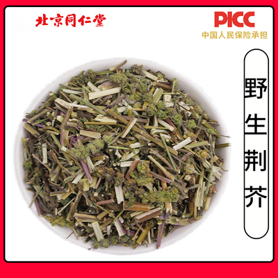 同仁堂荆芥中药材正品500g野生新货无硫带穗荆芥干荆介荆介土荆芥