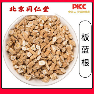 同仁堂野生板蓝根中药材500g特级无硫板蓝根板蓝根泡茶板蓝根块