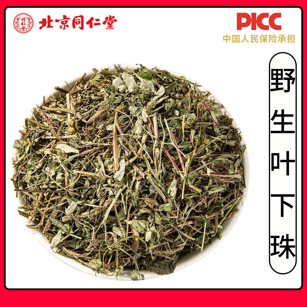 同仁堂无硫叶下珠中药材500g叶下珠新货珍珠草龙珠草鱼鳞草夜合草