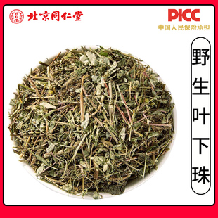 同仁堂无硫叶下珠中药材500g叶下珠新货珍珠草龙珠草鱼鳞草夜合草