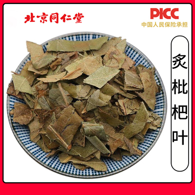 同仁堂天然炙枇杷叶中药材500g无硫正品批把叶制枇杷叶蜜炙枇杷叶