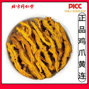 同仁堂四川黄连中药材500g凤爪鸡爪黄莲茶黄莲粉泡水野生黄莲中药