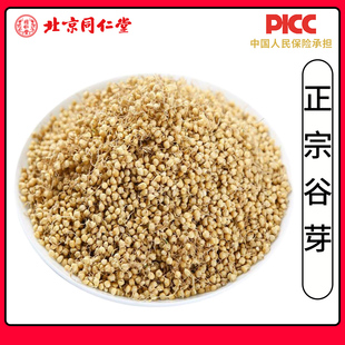 同仁堂正宗谷芽中药材500g无硫饱满生谷芽新鲜干货品质另售炒谷芽