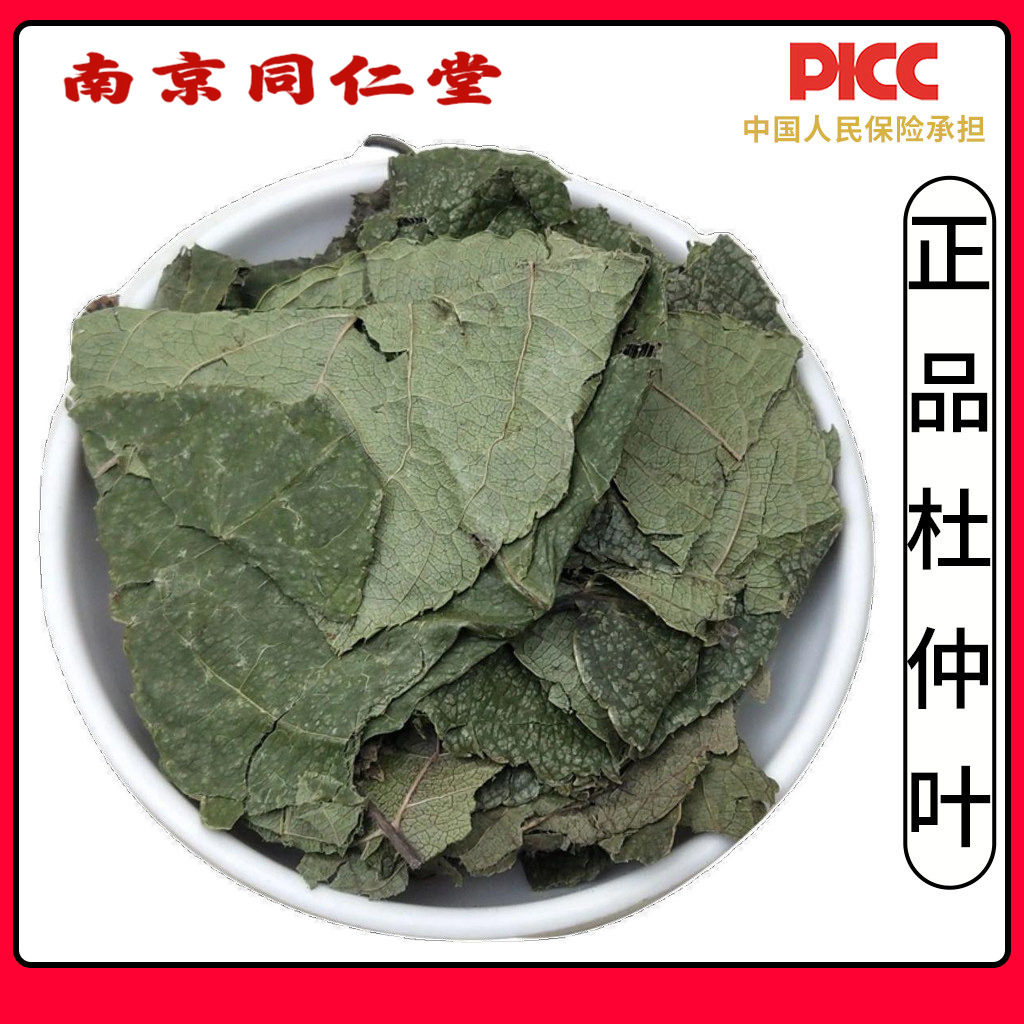 同仁堂野生杜仲叶中药材500g精选高品质新货无硫杜仲嫩叶茶芽杜仲