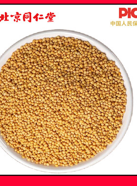 同仁堂精选黄芥子中药材500g芥末籽黄芥末籽粒芥末子芥菜籽芥茉子