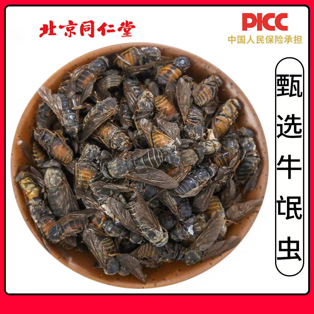 同仁堂野生虻虫中药材100g手选大个牛苍蝇牛氓虫牛蚊子牤虫忙虫
