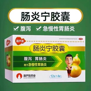 葫芦爸肠炎宁胶囊0.3g*48粒/盒急慢性胃肠炎腹泻小儿消化不良