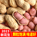 5斤 生花生带壳2023年粉红皮花生米生新鲜晒干种子原味现炒熟散装