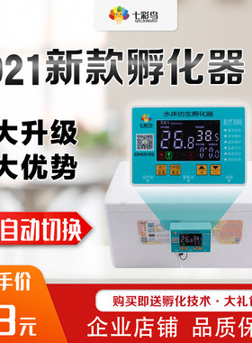 芦丁鸡鹦鹉小鸟鹅蛋水床孵化器