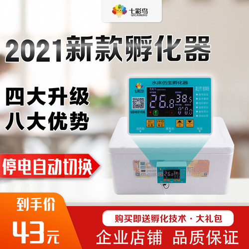 芦丁鸡鹦鹉小鸟鹅蛋水床孵化器