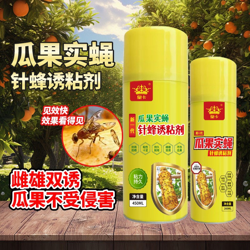 皇卡瓜果实蝇诱粘剂灭果蝇神器昆虫诱捕器针蜂克星引诱剂粘胶板