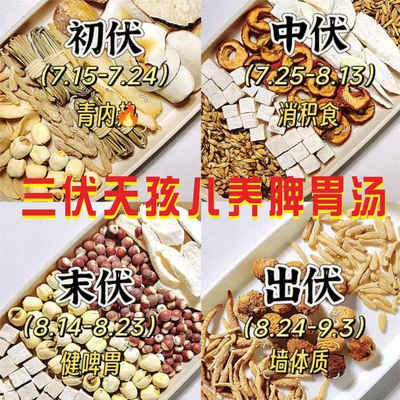 三伏天儿童成长汤包健脾胃清内热促吸收灯芯草太子参麦冬四神汤料
