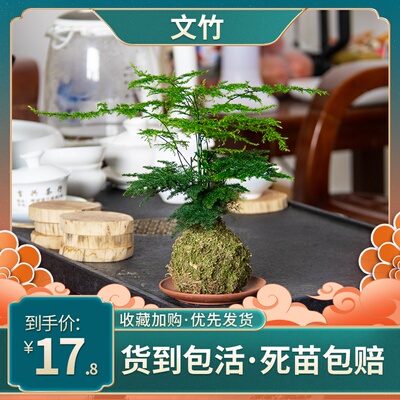 最新优惠券大全 全网省钱买 为美好生活而省