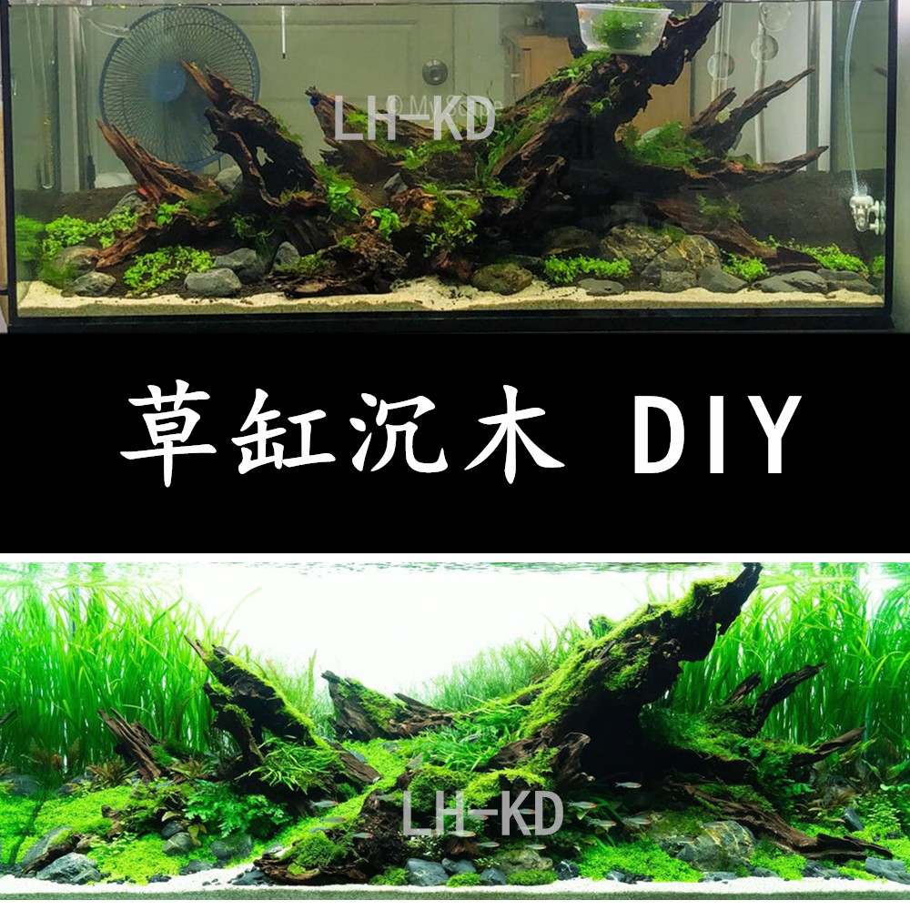 紫柚沉木树桩森林鱼缸草缸造景套餐莫斯树杜鹃根水草