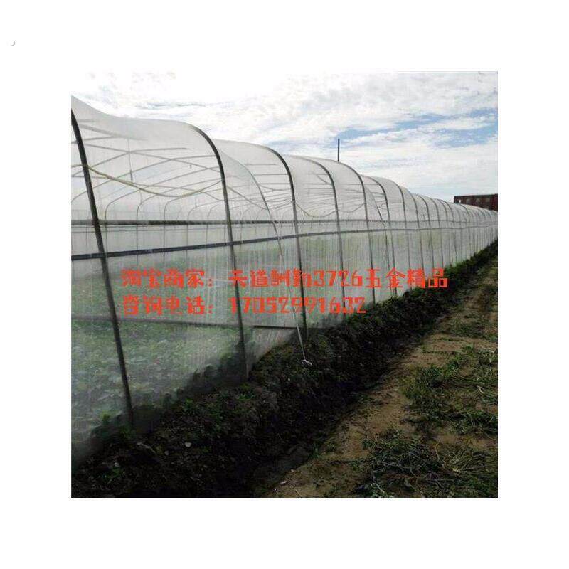 厂家农用防虫网纱网种菜园大棚尼龙网养殖场防蚊纱60目苍蝇防鸟专